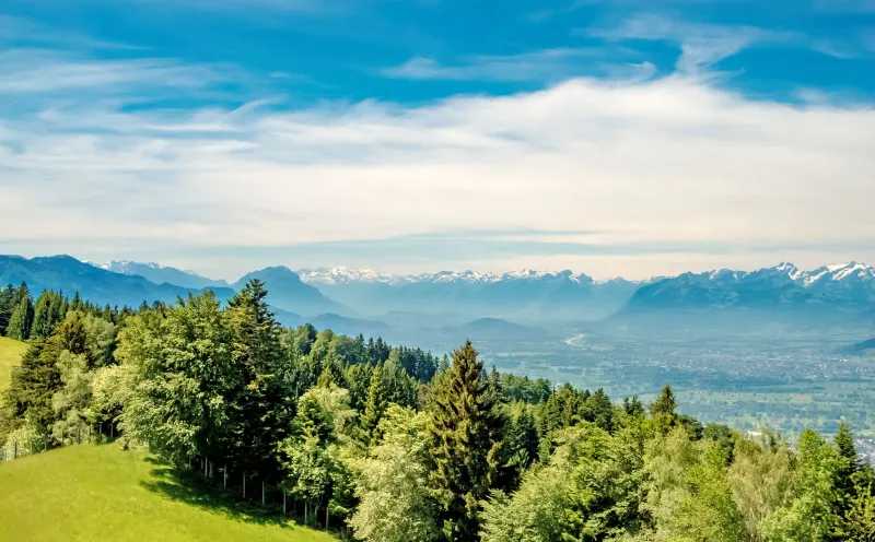 Vue depuis le Pfänder